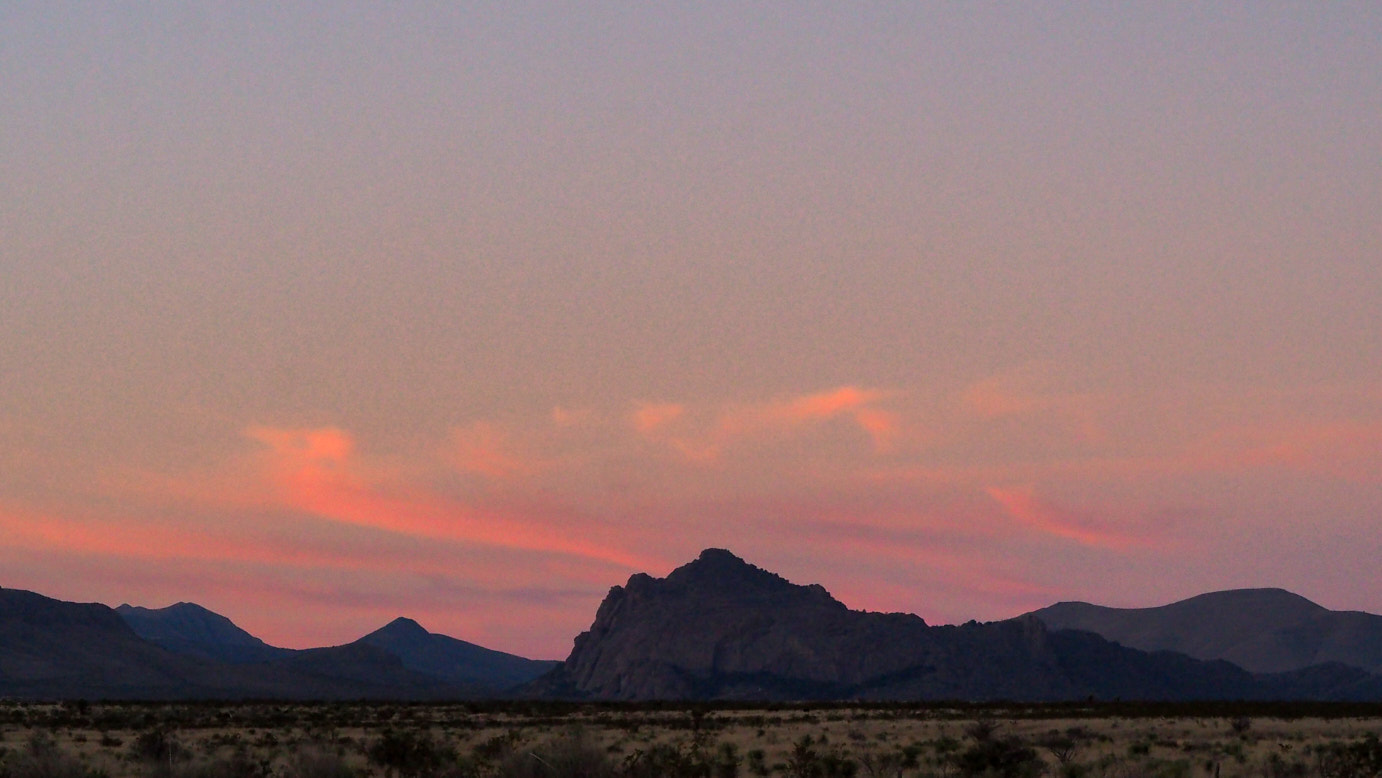 Let the heart go rich with moss.