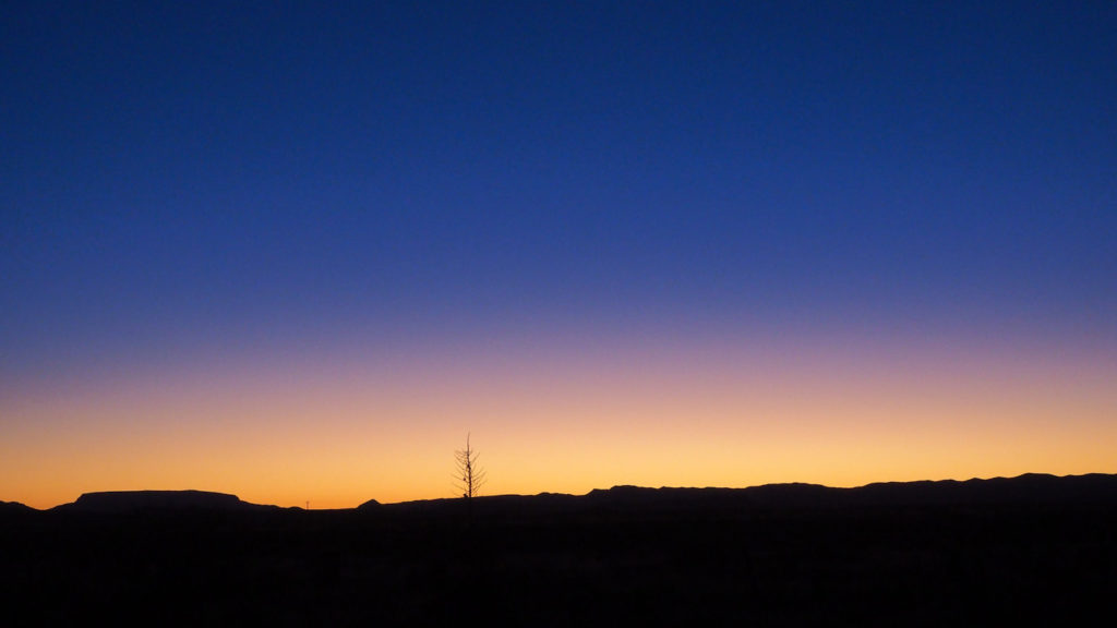 the bones of words you no longer need.