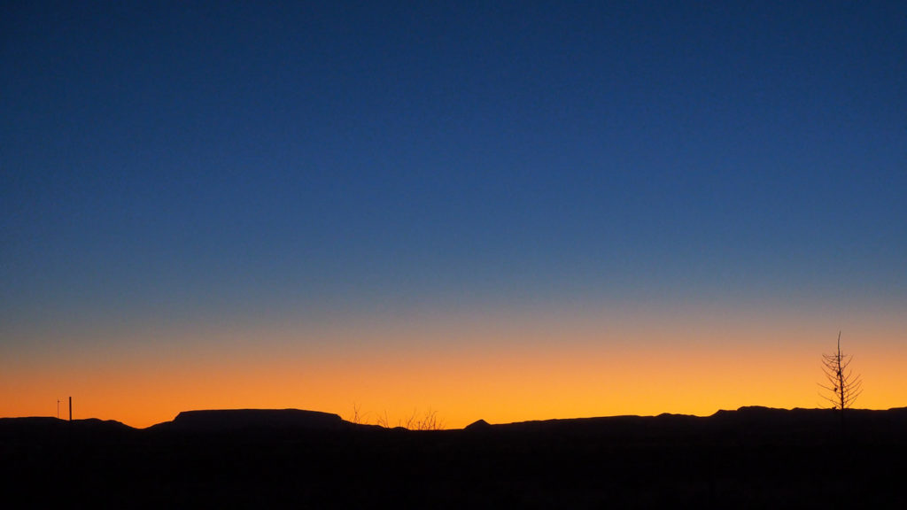 Let the birds sing in orange and red. —Nicole Terez Dutton