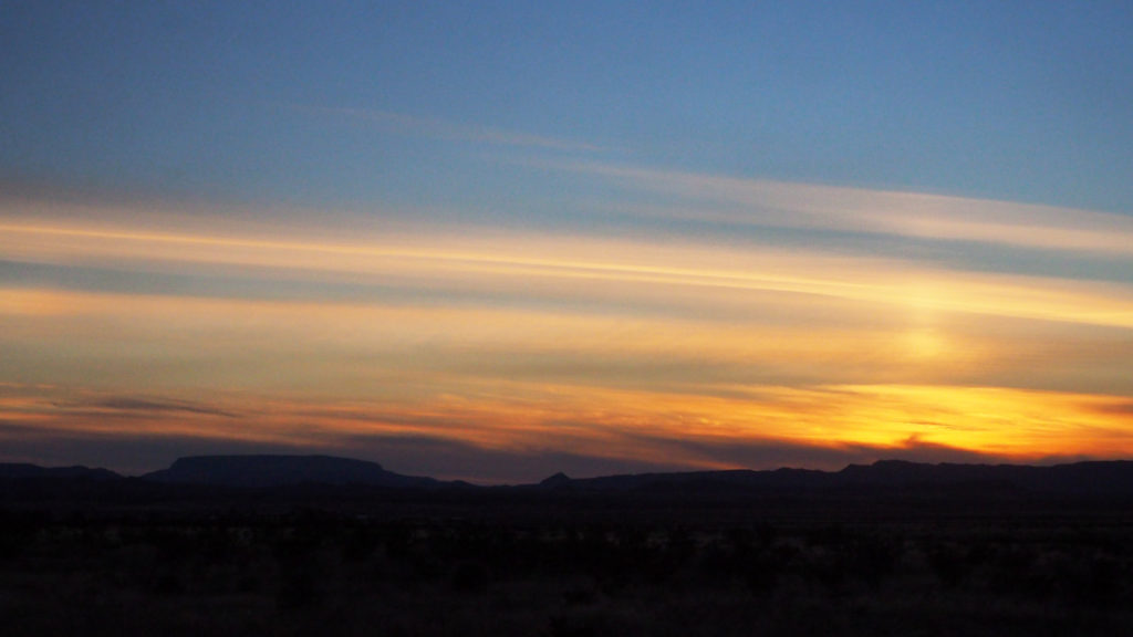 my eyes noting movement,