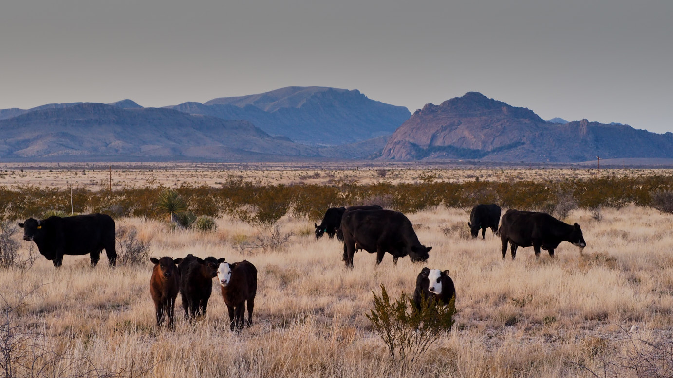 art is made from what is