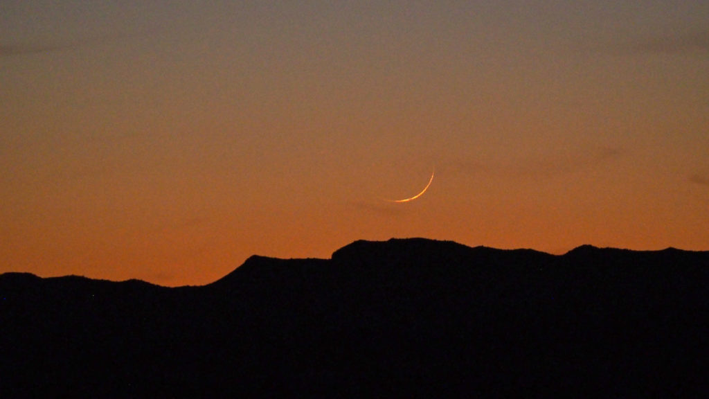 It had a lover —W. H. Auden