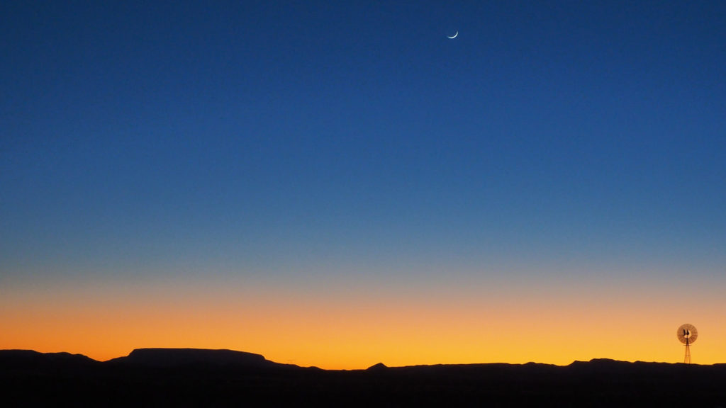 Have I experienced happiness with sufficient gratitude? —Mary Oliver