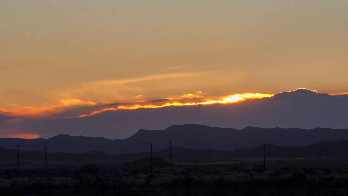 For twenty-four hours, / all politicians will be silent. Reality