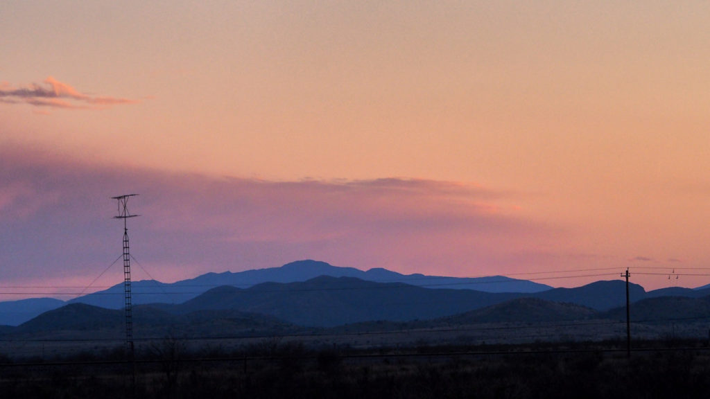 of translucent arteries / lit with wing-gossip.