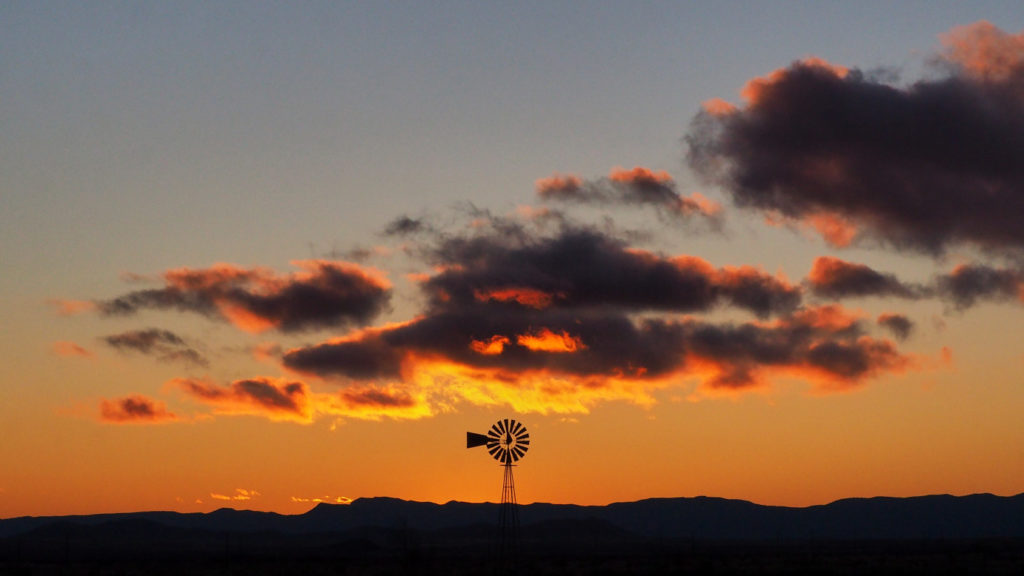 the detail, the intricate embroidery