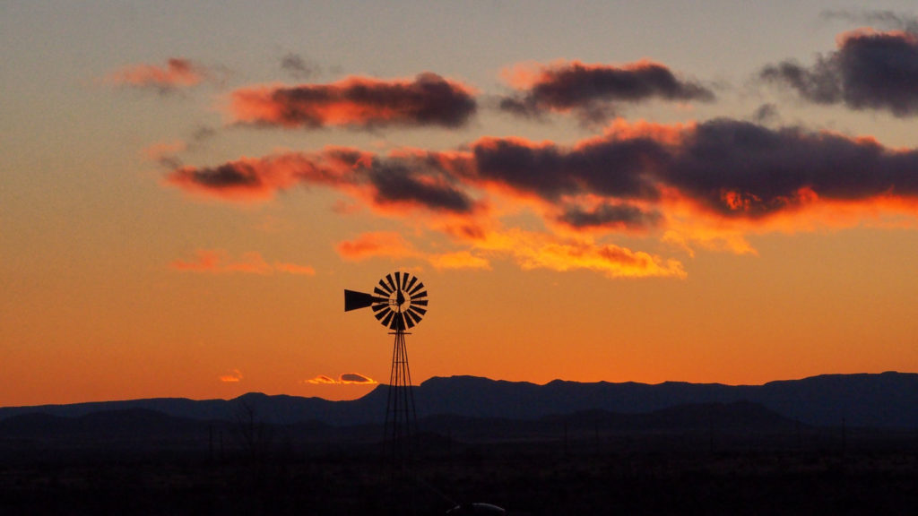 on the collar, tiny shell buttons, —Ellen Bass