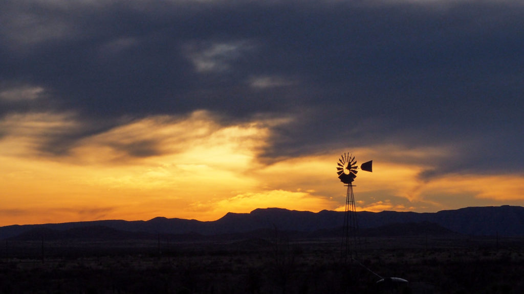 light in the same degree. Some of us