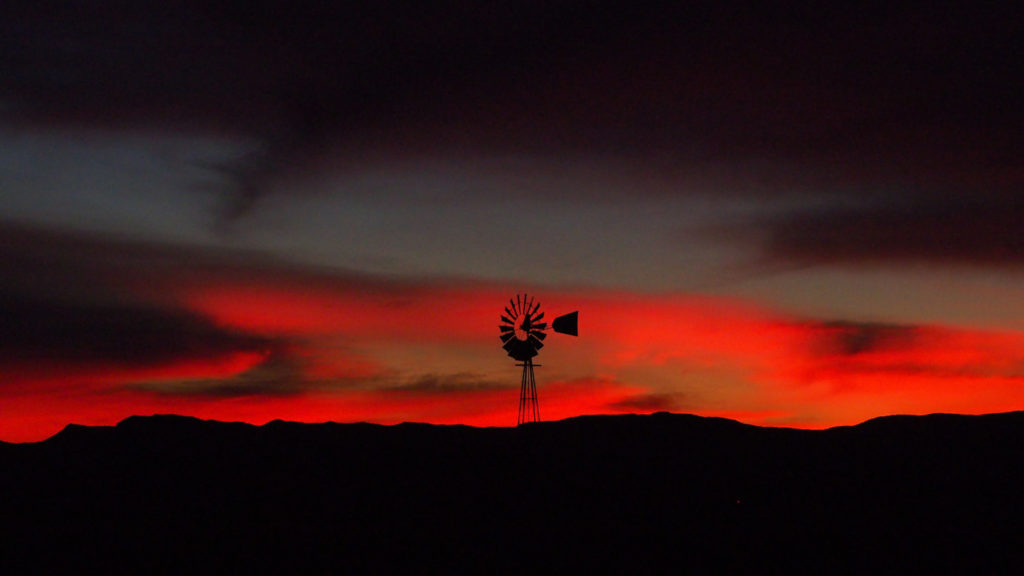 lake of silver in the darkness under the great maples.