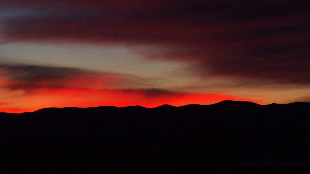 But you know this already. —Louise Glück