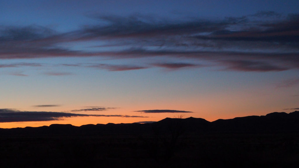 trying to keep up, to remember —Rachel Jamison Webster