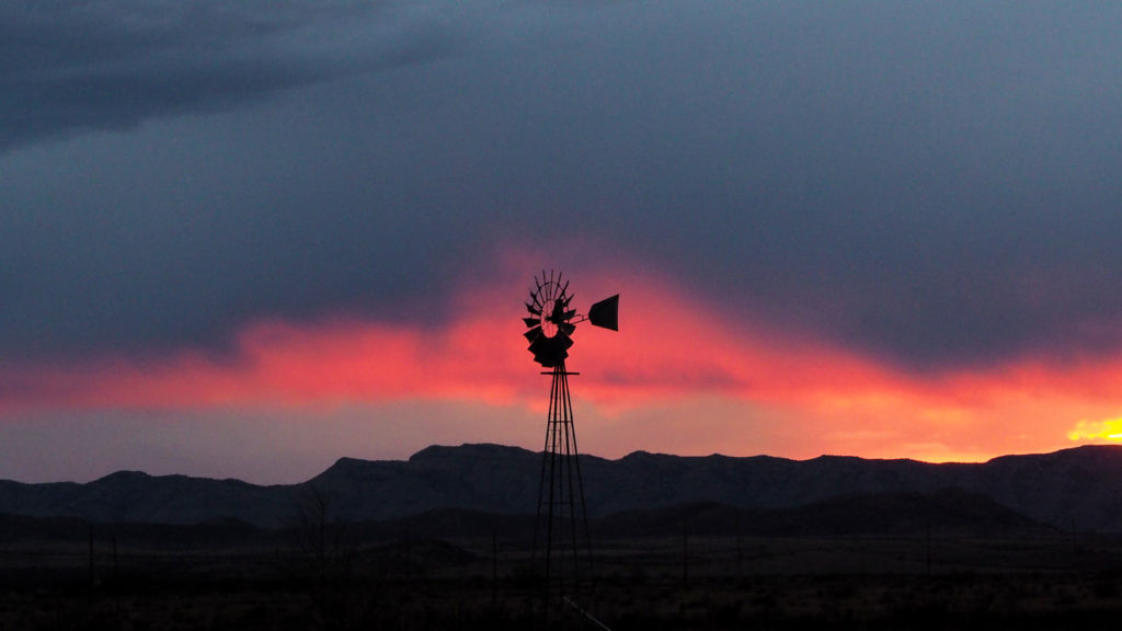 tiny violins of longing and desire. We were made for song. —Barbara Crooker