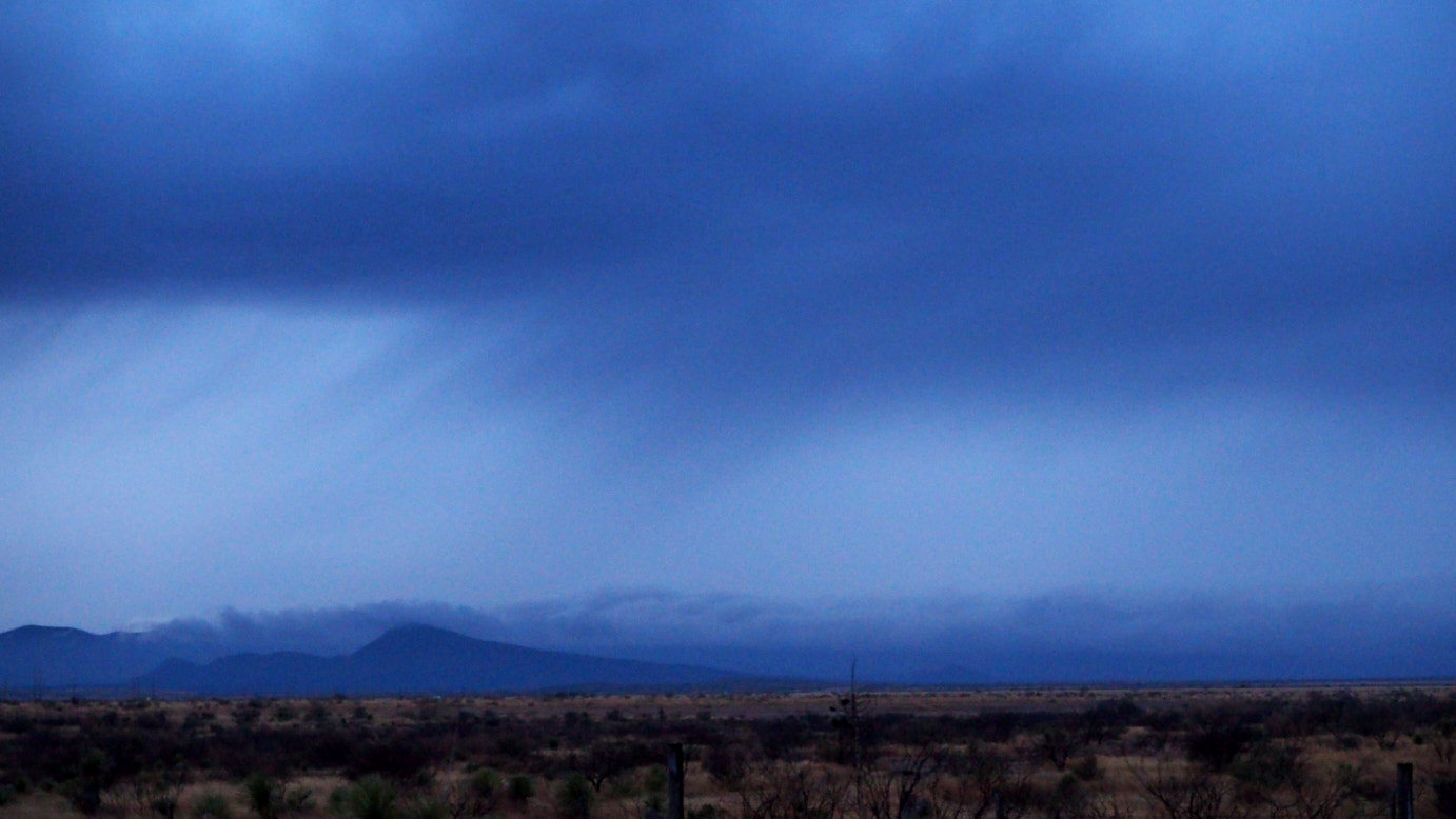 Listen to me. I am telling you