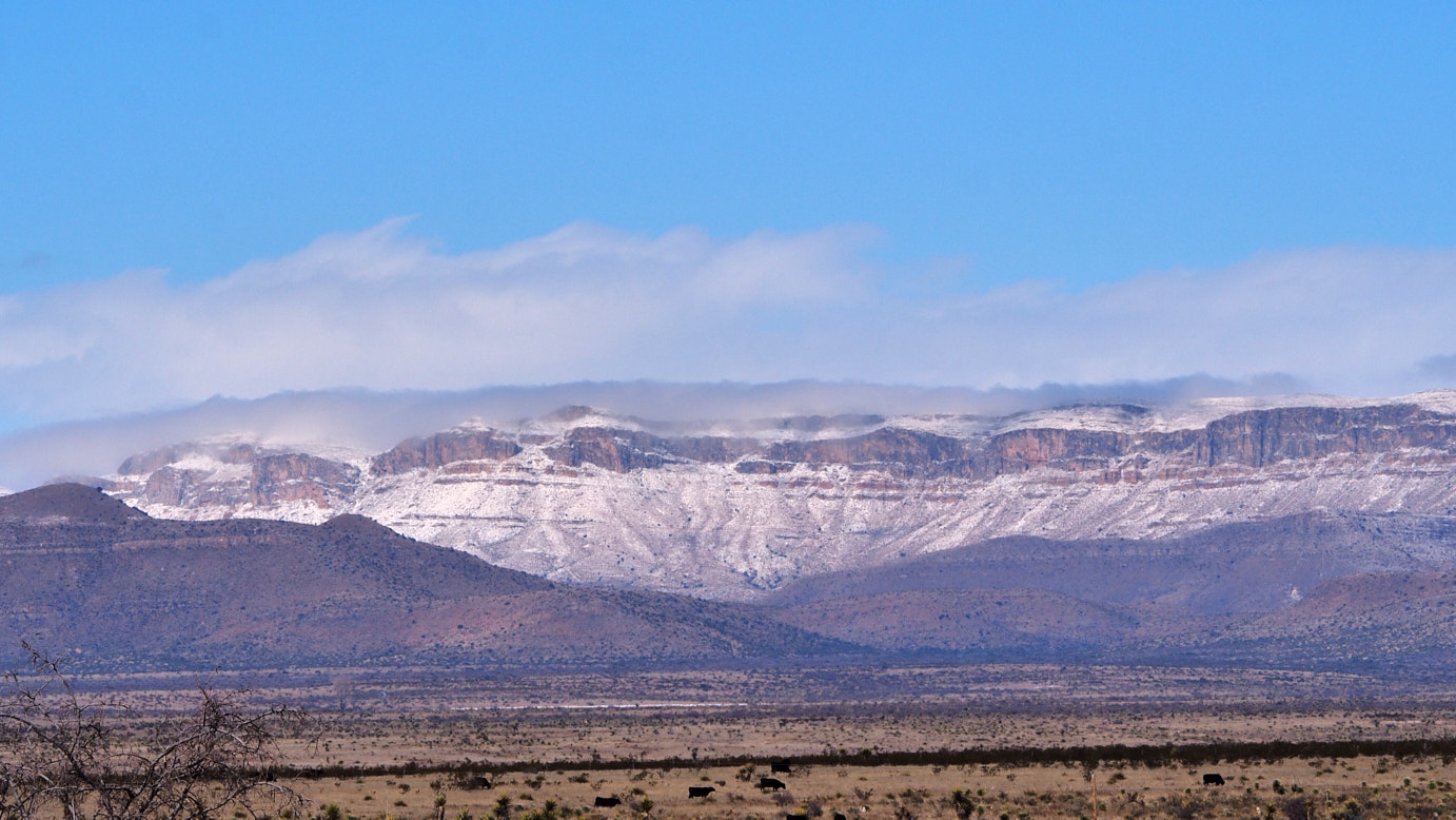 Maybe a meteor fell on Tunguska, maybe you just brushed my arm.