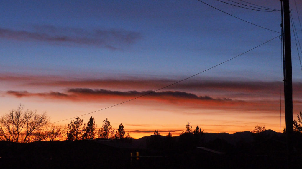 Brimming with snow —John Yau