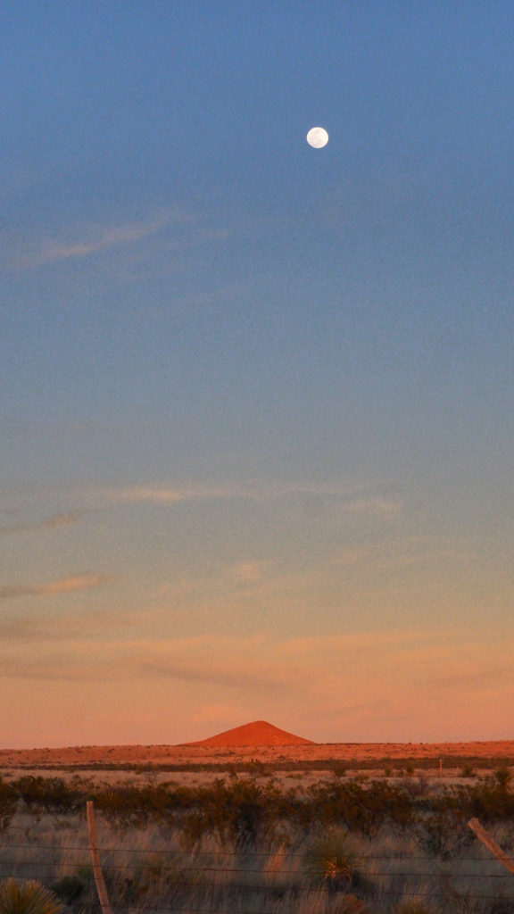 misplaced moon, every torso