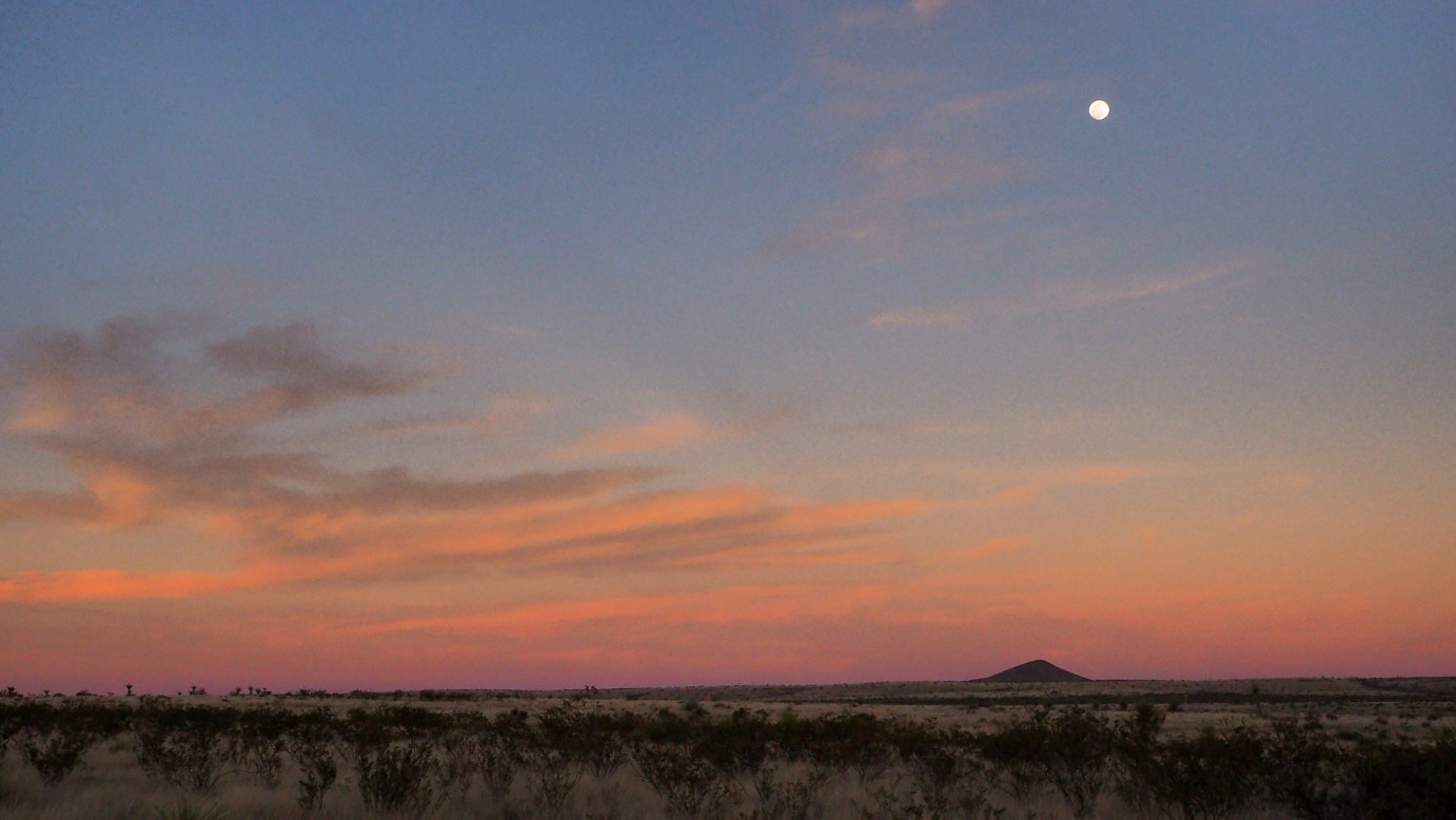 But it delights us. Every exquisitely