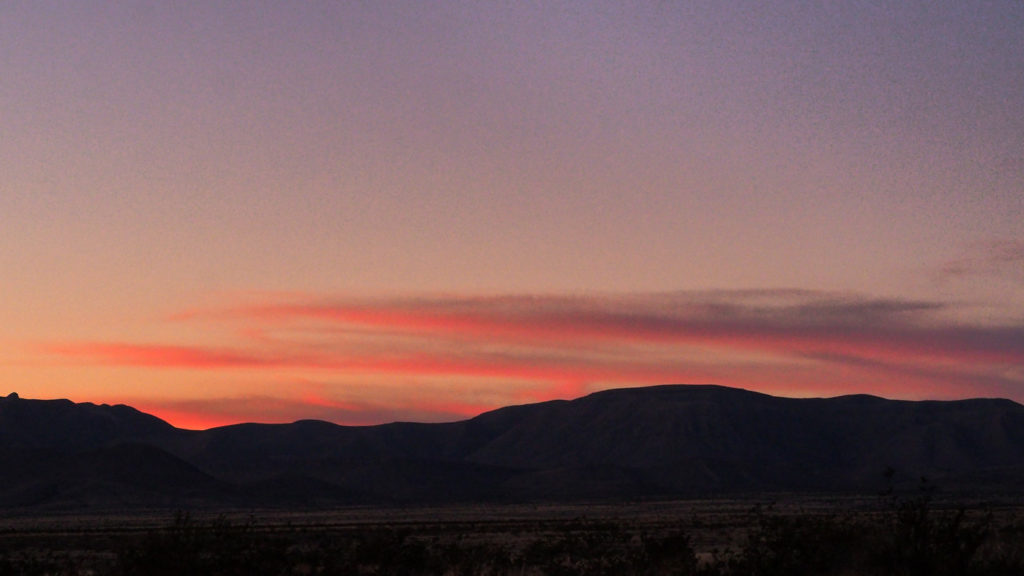 of gravity delights us. —Sharon Fain