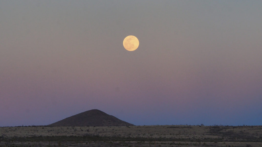 You must cut out your hearts and bait your hooks