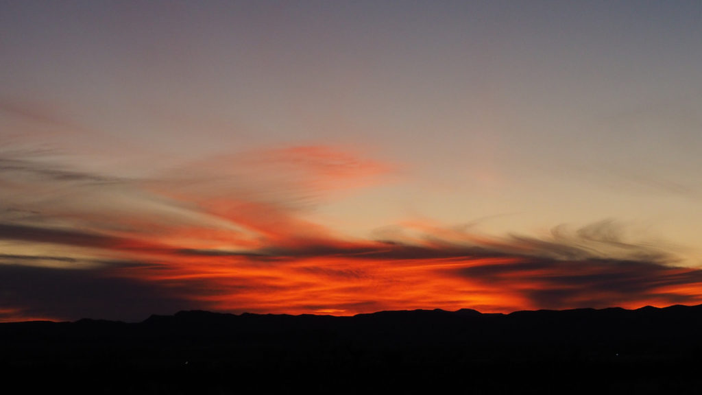 with those dark animals;