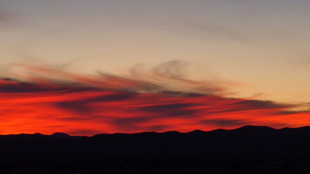 what matter you lose your hearts to reel in your dream?” —Lisel Mueller