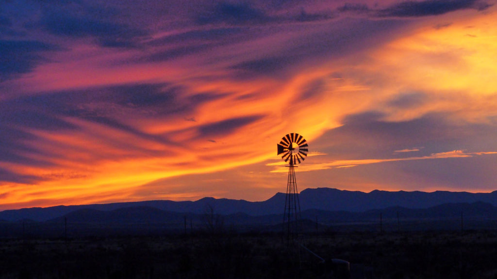so I go leafing through landscapes to come