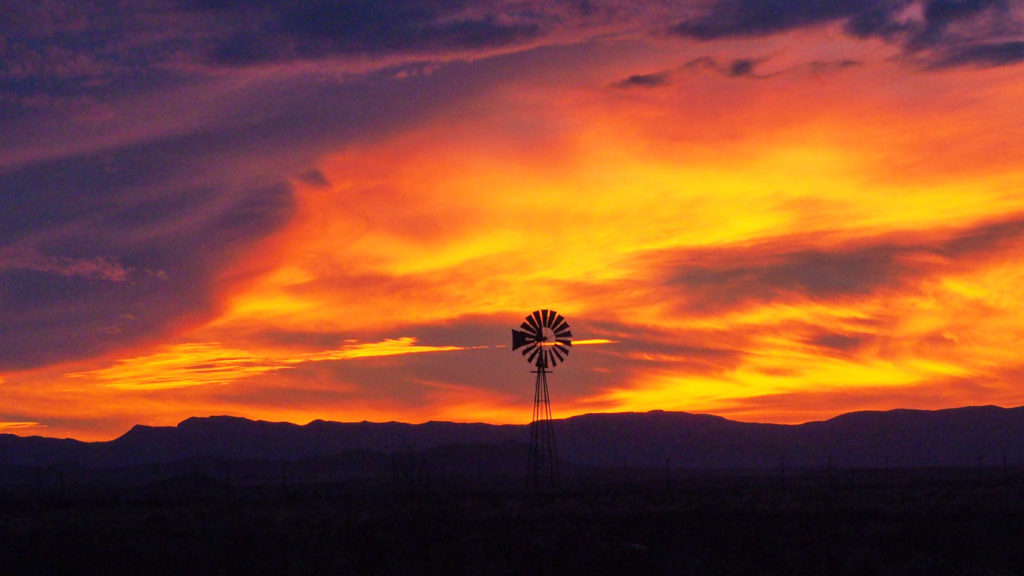 tearing torn faithful —Tristan Tzara, translated by Mary Ann Caws