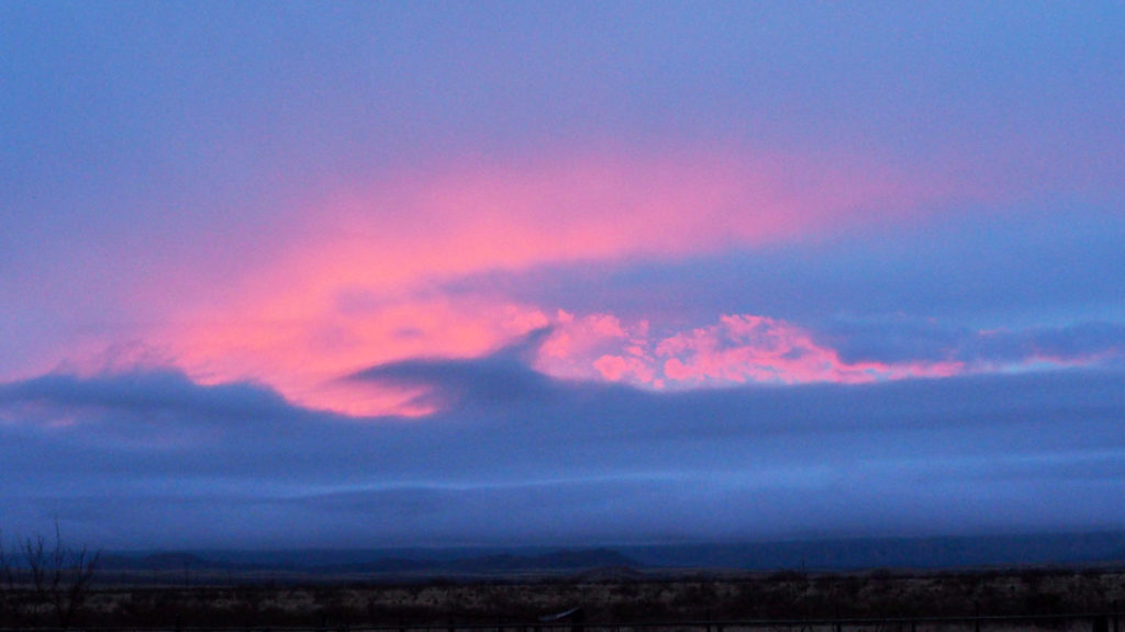 in the middle of the most violent parties. —Veronica Forrest-Thomson