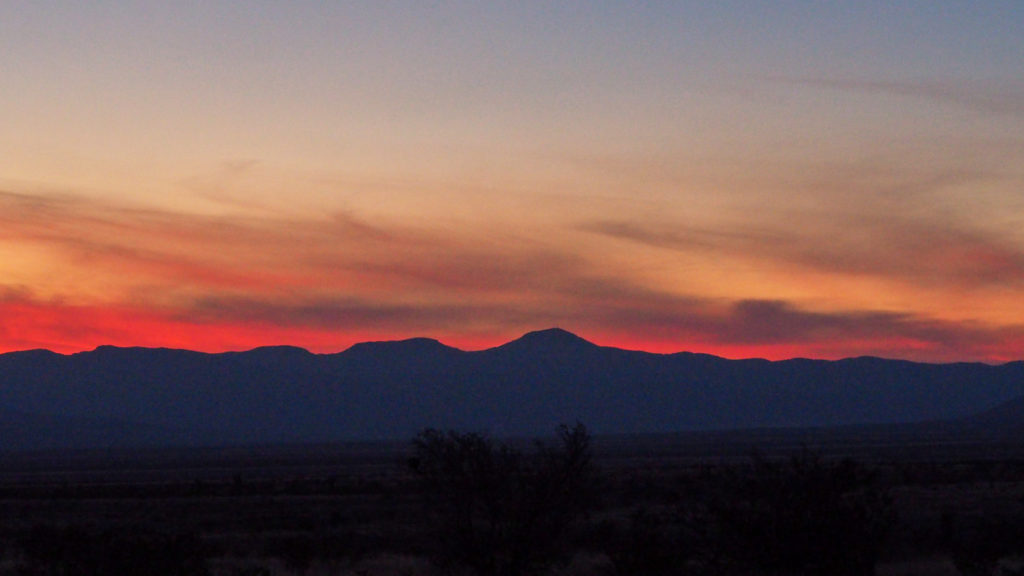 knows the way the blood goes.