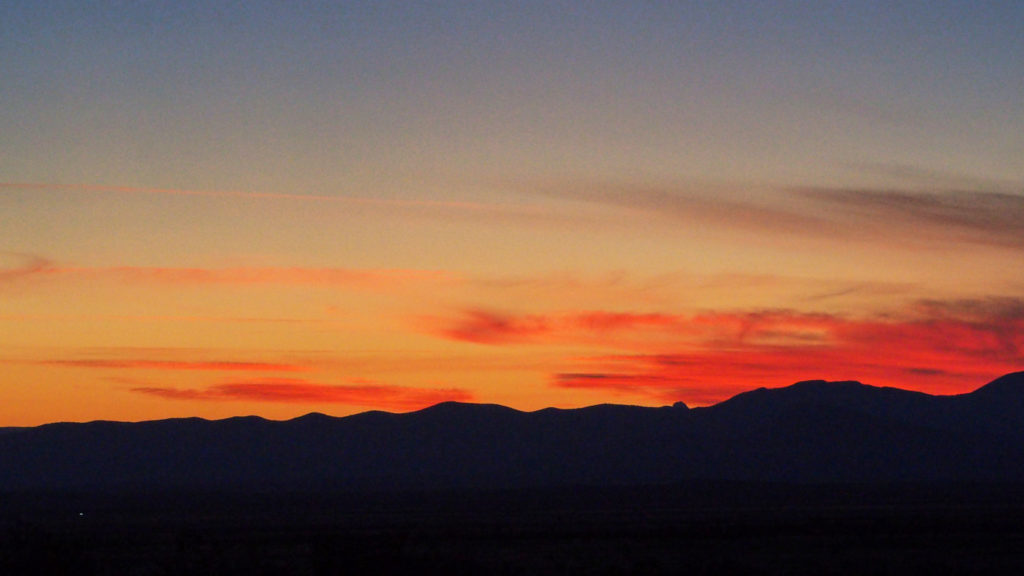 Heart has no veil. Heart tips