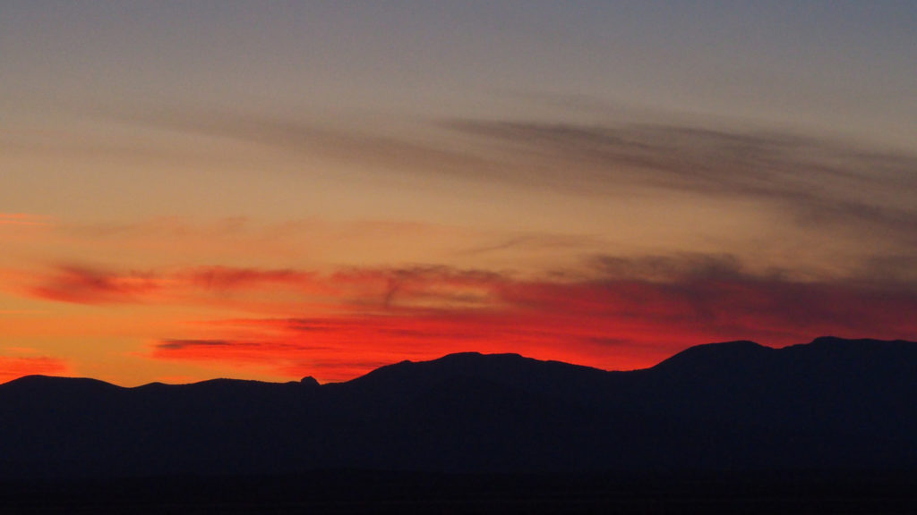 Heart’s face into the sun. Heart / closes eyes. —Hannah VanderHart