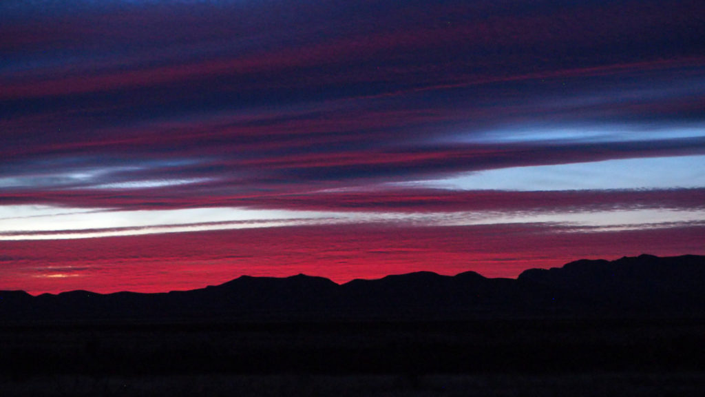 of everything? —Ellen Bass