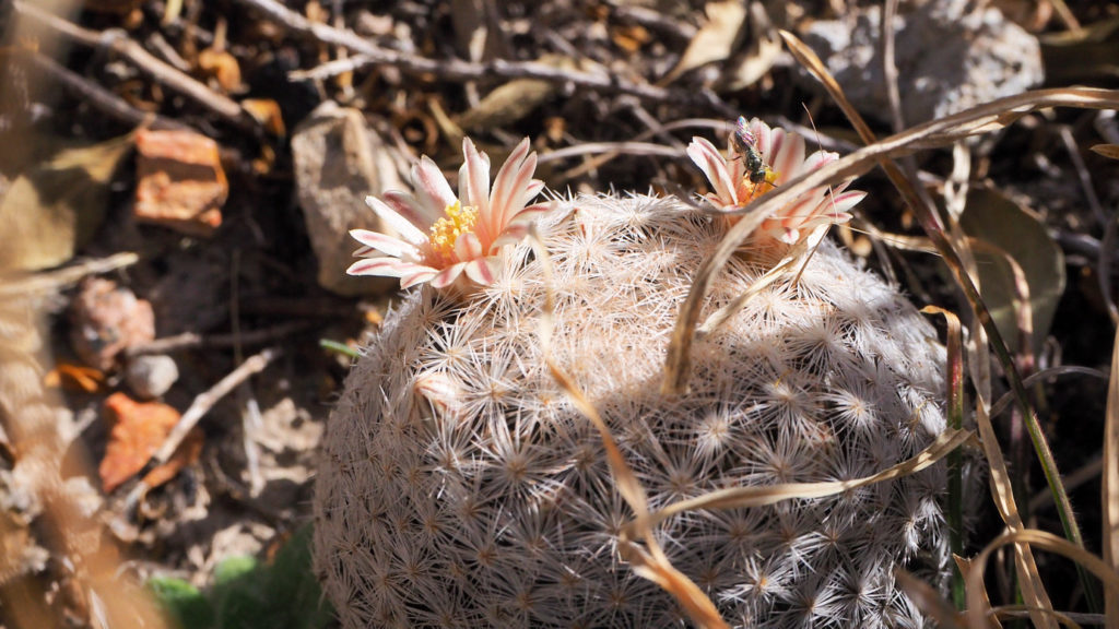 Move in all your meanings,