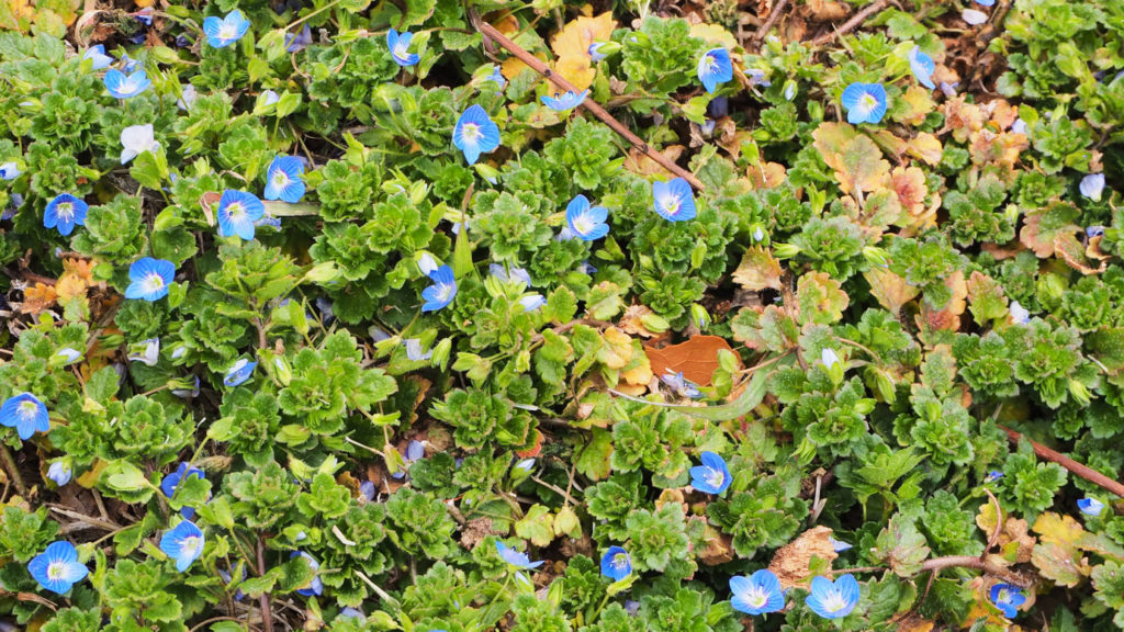 You just put your hand on the yellow rail
