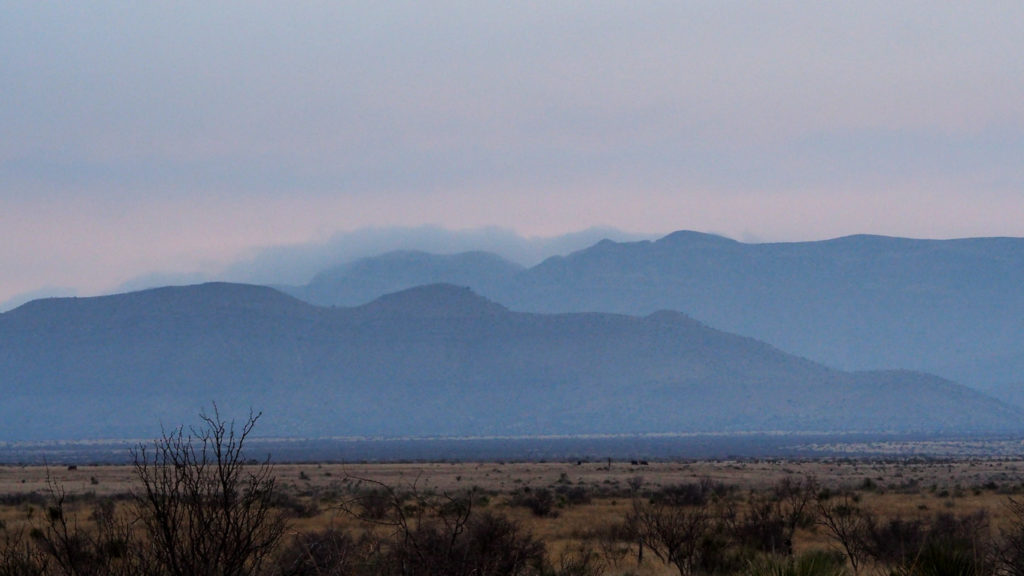 It’s morning all afternoon. —Dean Young