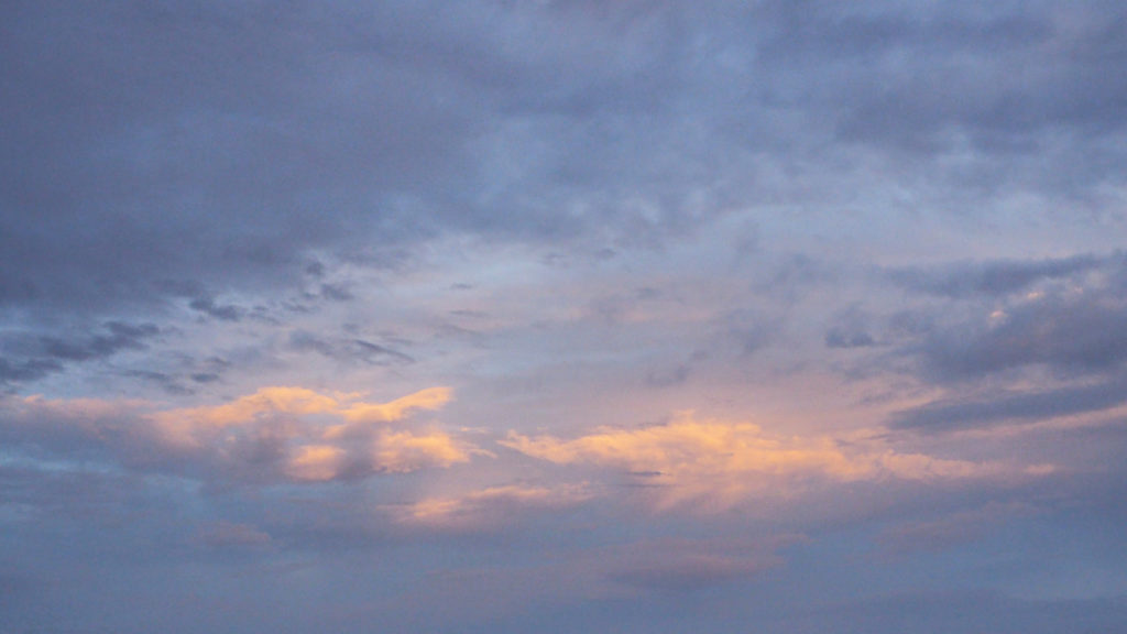 to hope. I tell myself go after the heart. And I do, and I won’t apologize. —Leah Umansky