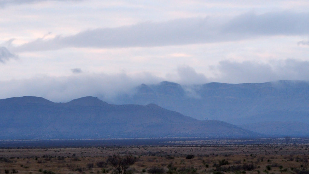 to really feel alive, to have every hair