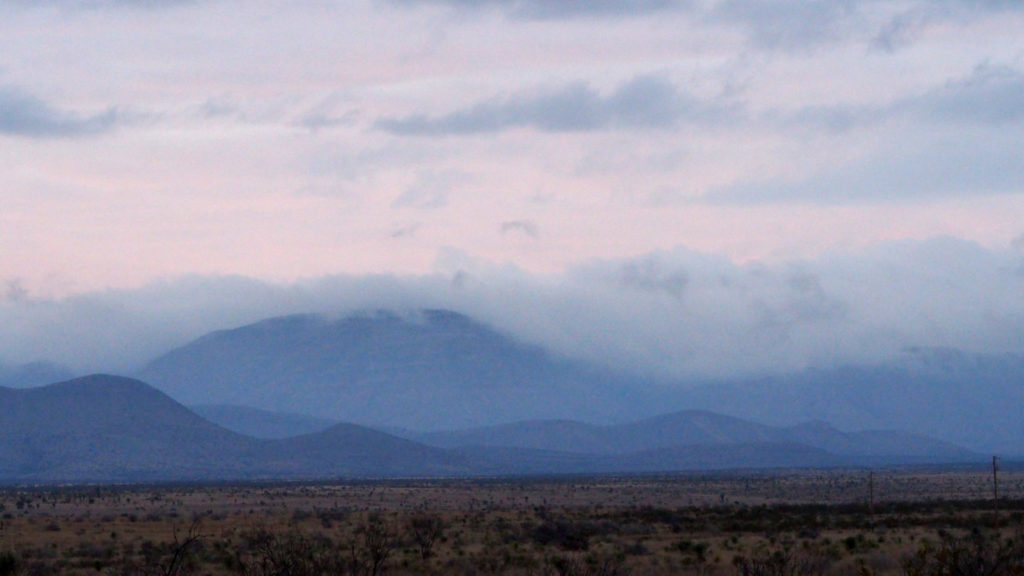 on your body rise to become taut,