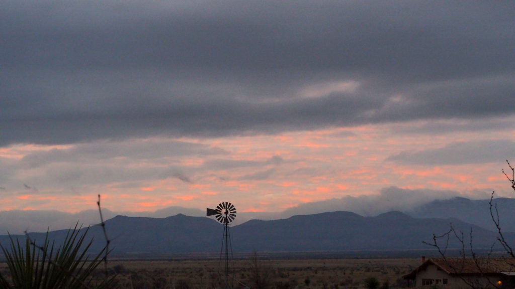 every nerve alert and quivering. —Pascale Petit