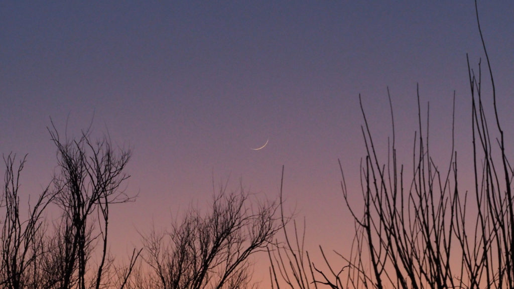 and colors and summers and mornings