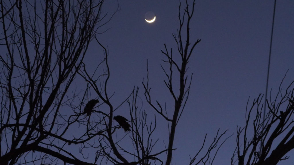 I don’t know who I am