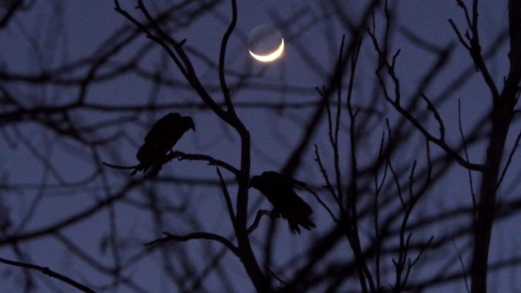 How did I get here? &nbsp; I don’t know —Ariana Reines