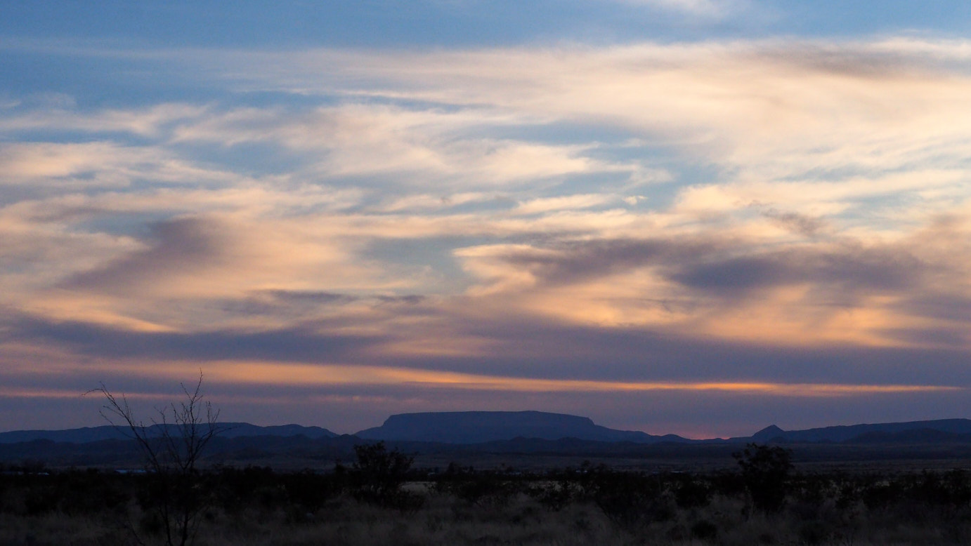 I am the evening light, the lustre of meadows