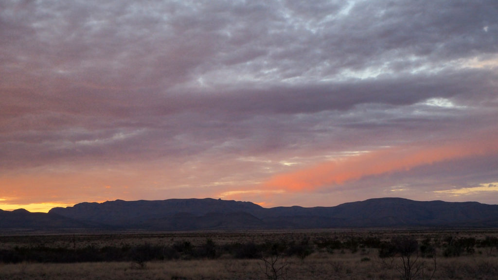 now throbs the tricolor