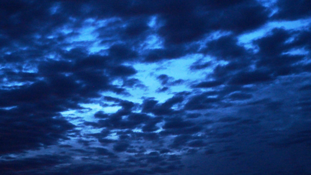 and bow their heads. —Mary Oliver