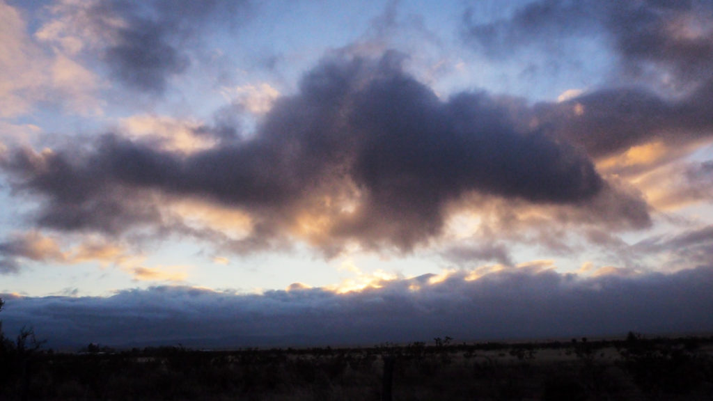 A horse made of clouds? No, it was a horse