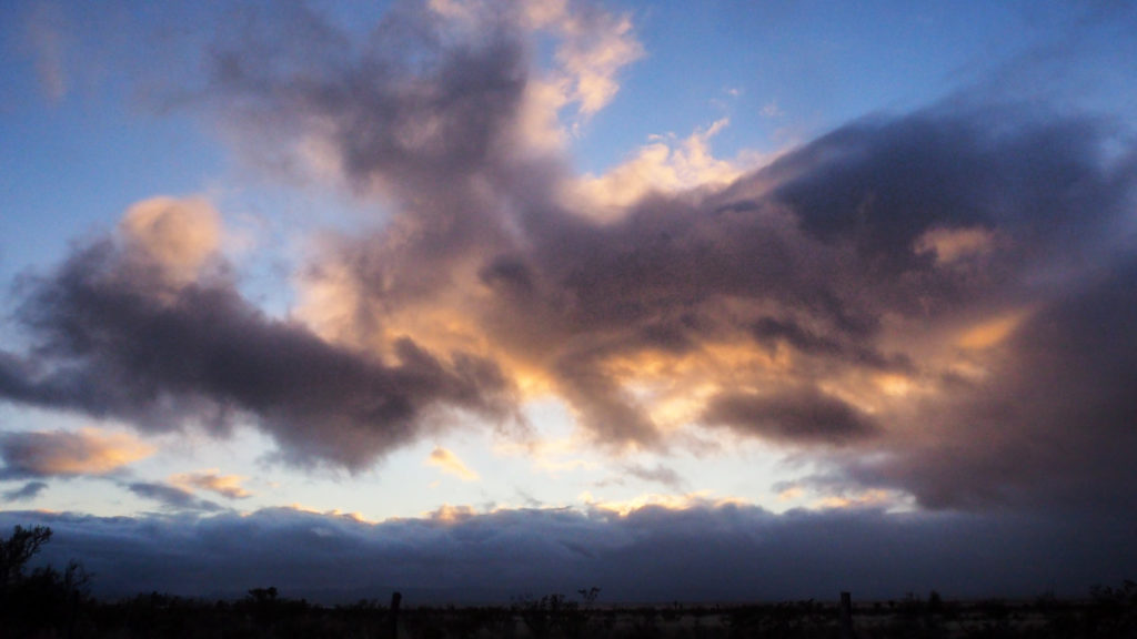 turning into two horses. What were they doing?