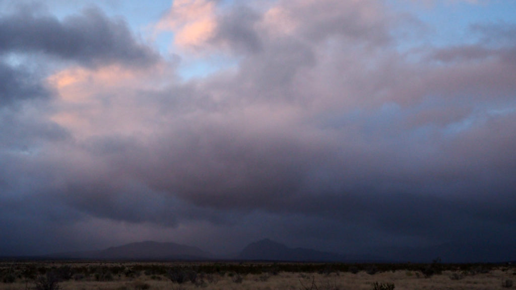 I don’t know. There was one for each eye. —Adam Clay