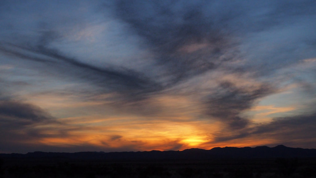 Closing around a blossom of fire.