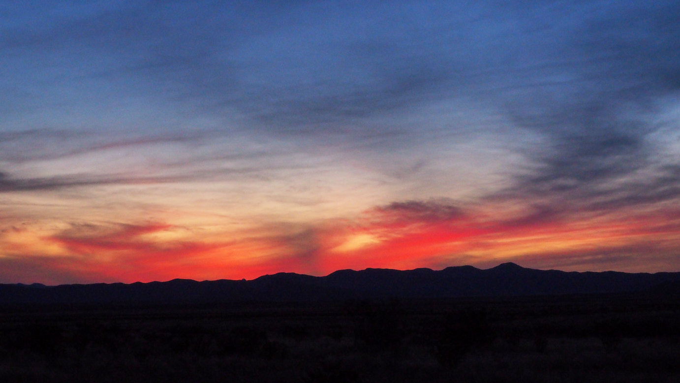 A cloister, a silence
